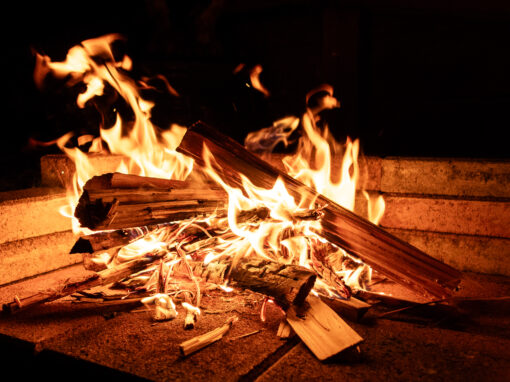 Freelance Photography